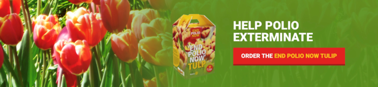 Des tulipes pour la polio